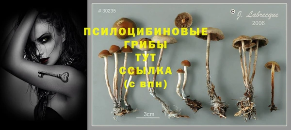 круглые Лагань